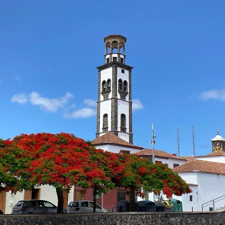 Apartament Bahia Cruz *